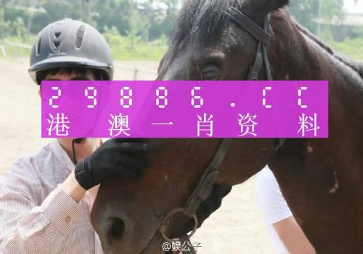 一肖一码澳门一肖-全面探讨落实与释义全方位