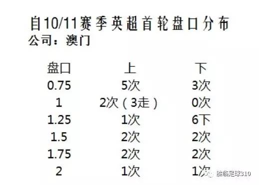 澳码精准100%一肖一马最准肖-全面探讨落实与释义全方位