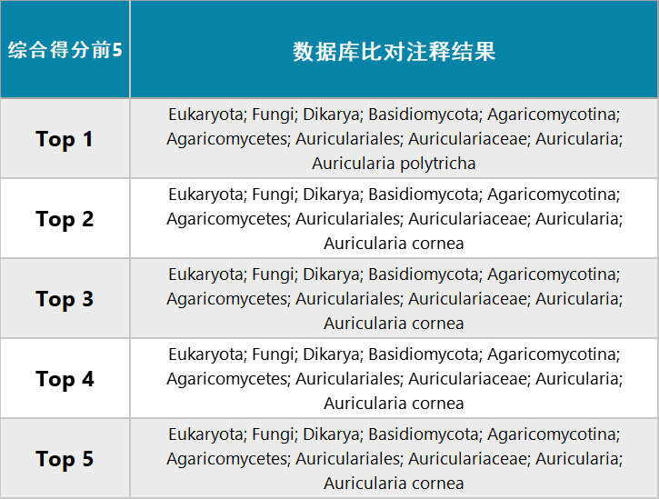 2025年开奖结果48k.cc-全面探讨落实与释义全方位