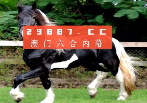 香港免费公开一肖一码-AI搜索详细释义解释落实