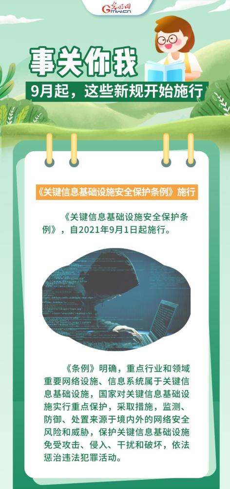 蓝月亮澳门正版免费资料大全-精选解析与落实的详细结果